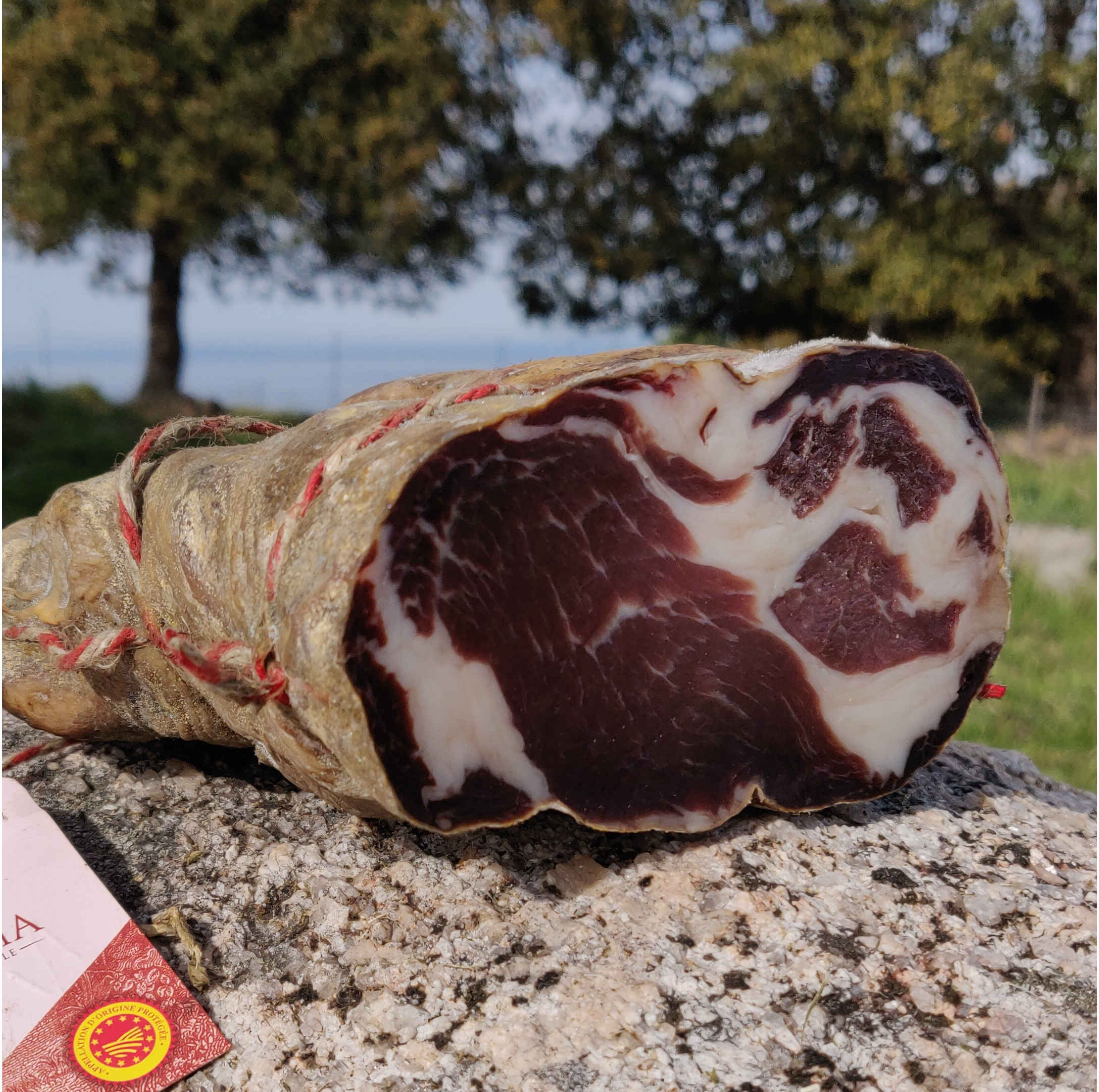 Photo de la coppa du domaine Baroncia