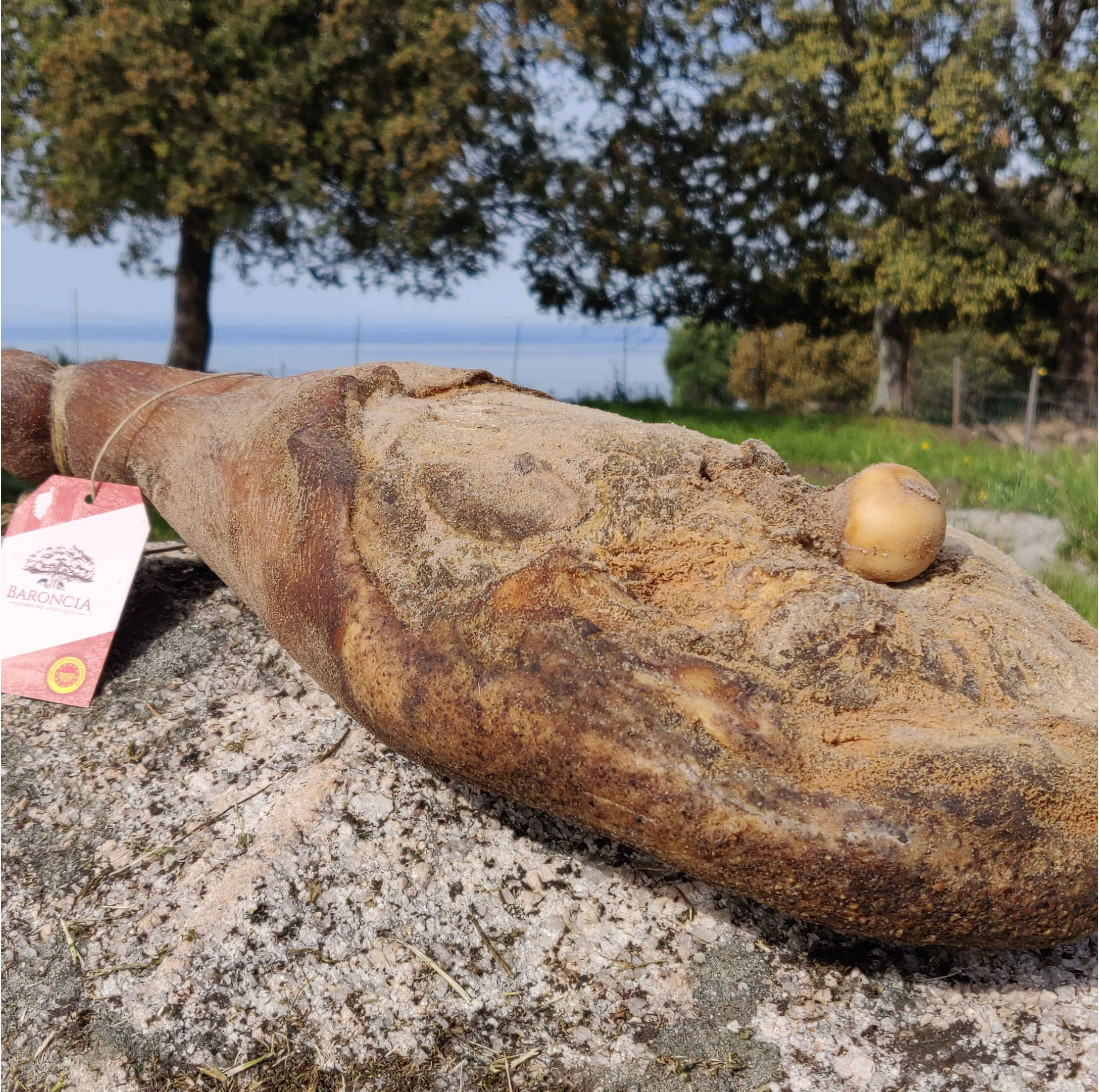 Photo du jambon du domaine Baroncia