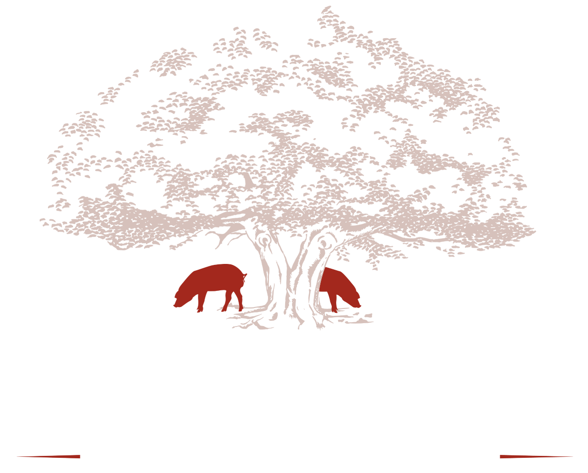 logo baroncia