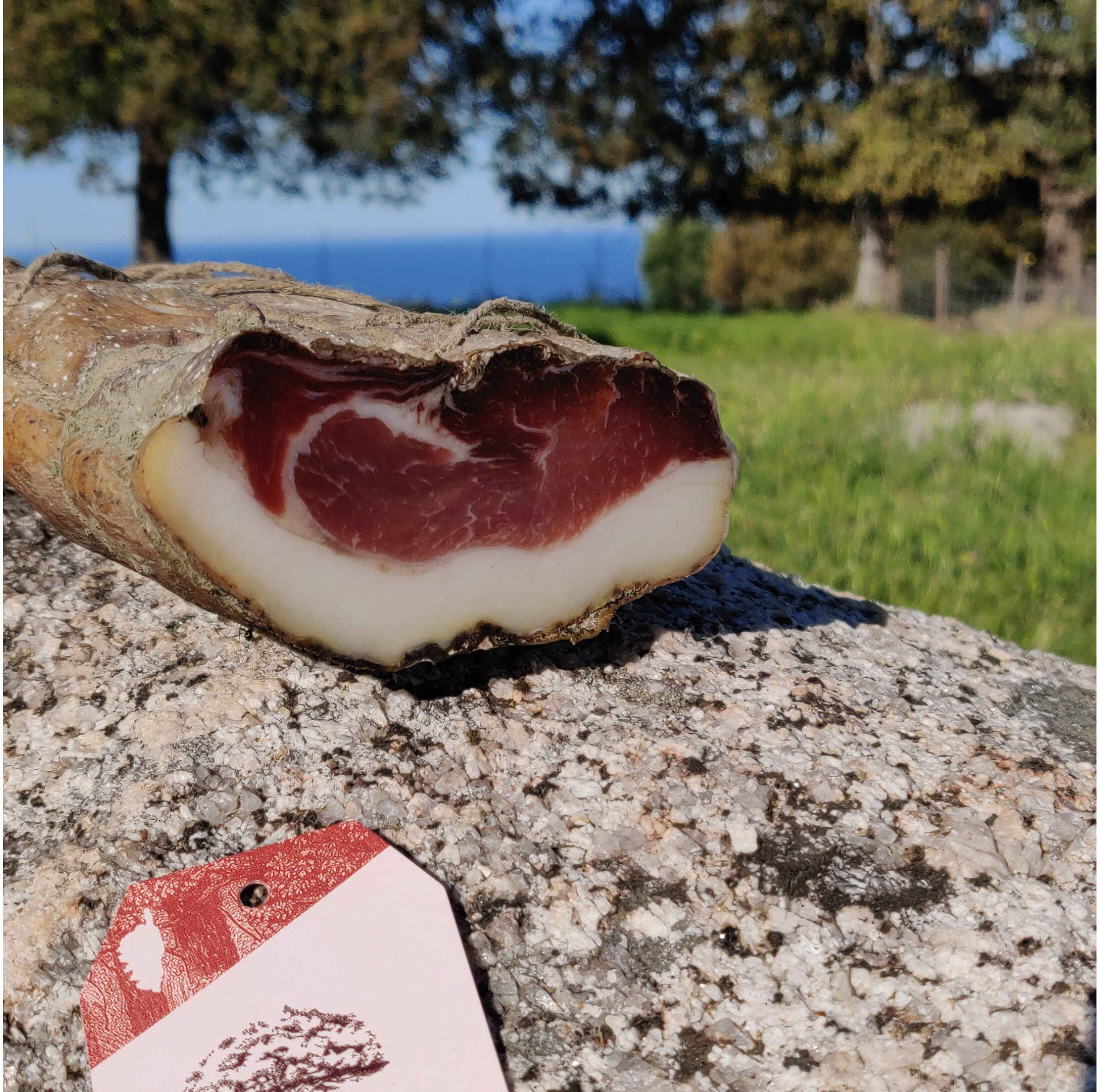 Photo du lonzo du domaine Baroncia